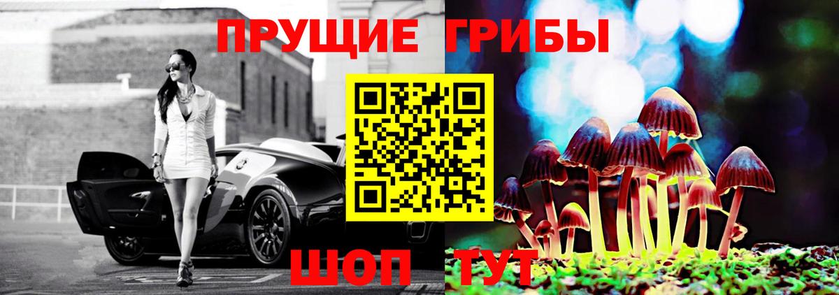Владикавказ  Галлюциногенные грибы прущие грибы  Вход с VPN 